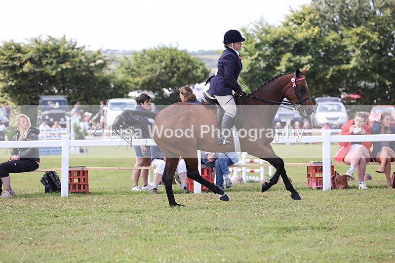 JPP_1375 - Class 17: Cornish Combination Open