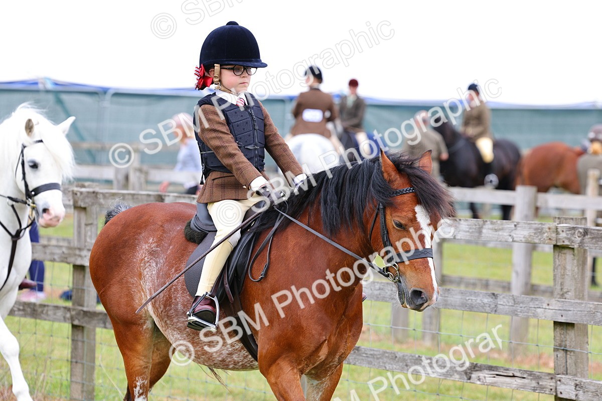 SBM_08439 - Class 42-43 - LIHS BSPS Heritage Working Sports Pony