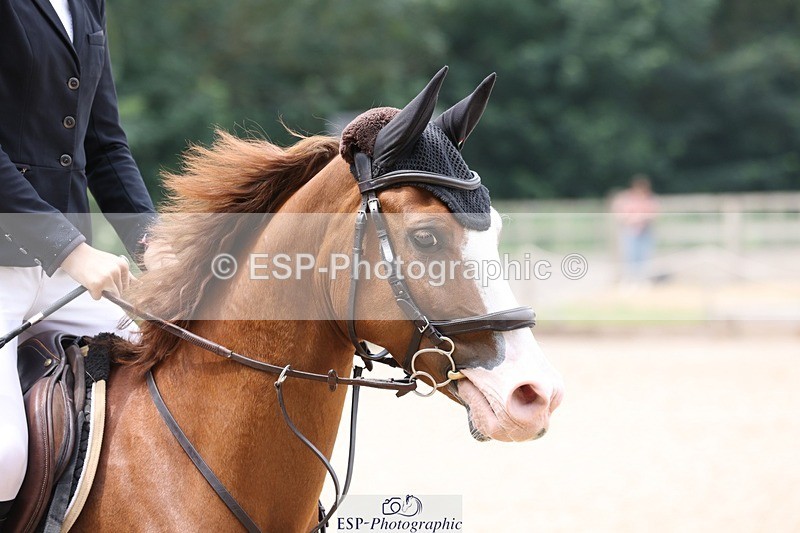 230617-123025-04309 - Cls 09 Blue Chip Pony Newc 1st Rnd