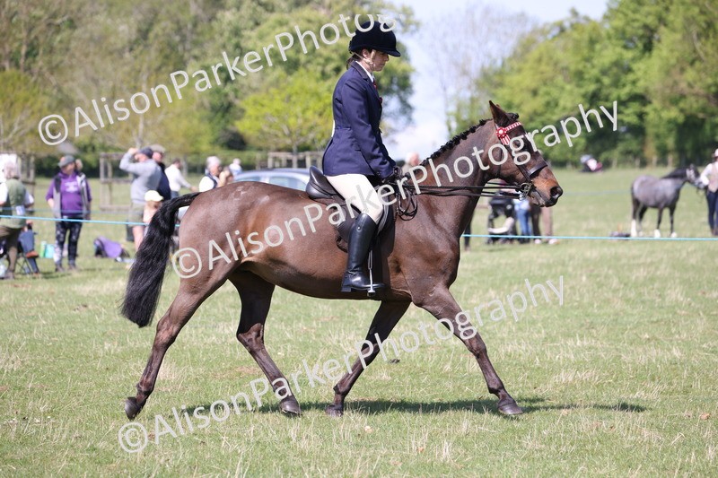 20250427-3186 - Class 33 - Best Pony 14.2hh and Under