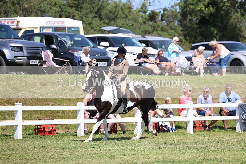 3E7A7871 - Class 7: Open Riding Horse
