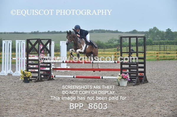 BPP_8603 - CLASS 4 Pony Discovery / 90cm Open