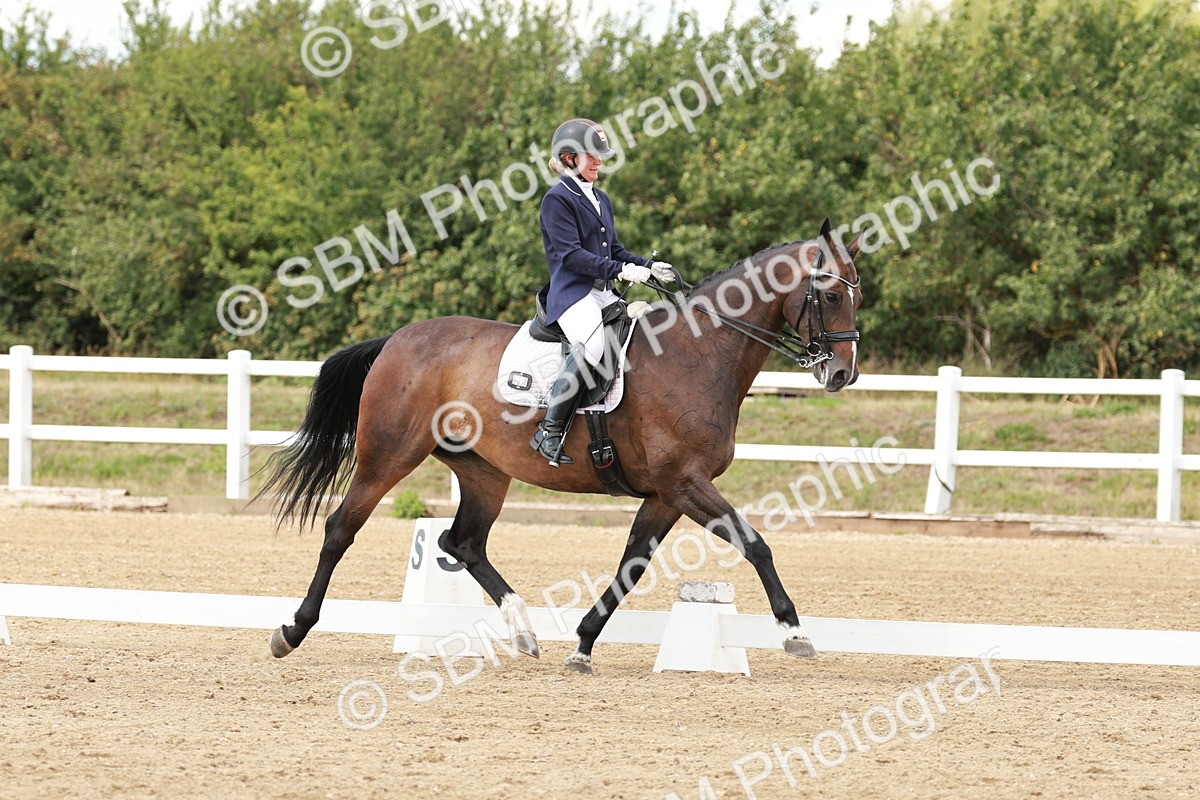 SBM_002423 - Class 11 - Medium 6