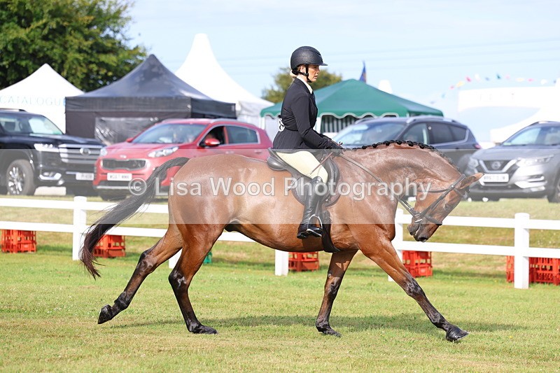 3E7A8032 - Class 2: Rising Star Large Hack/Riding Horse