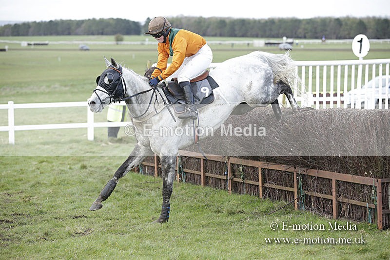 PtP 150320 0729 - New Forest Point-to-Point Larkhill 15/03/20