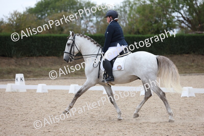 20250820-1049 - Class 17 - Elementary 4