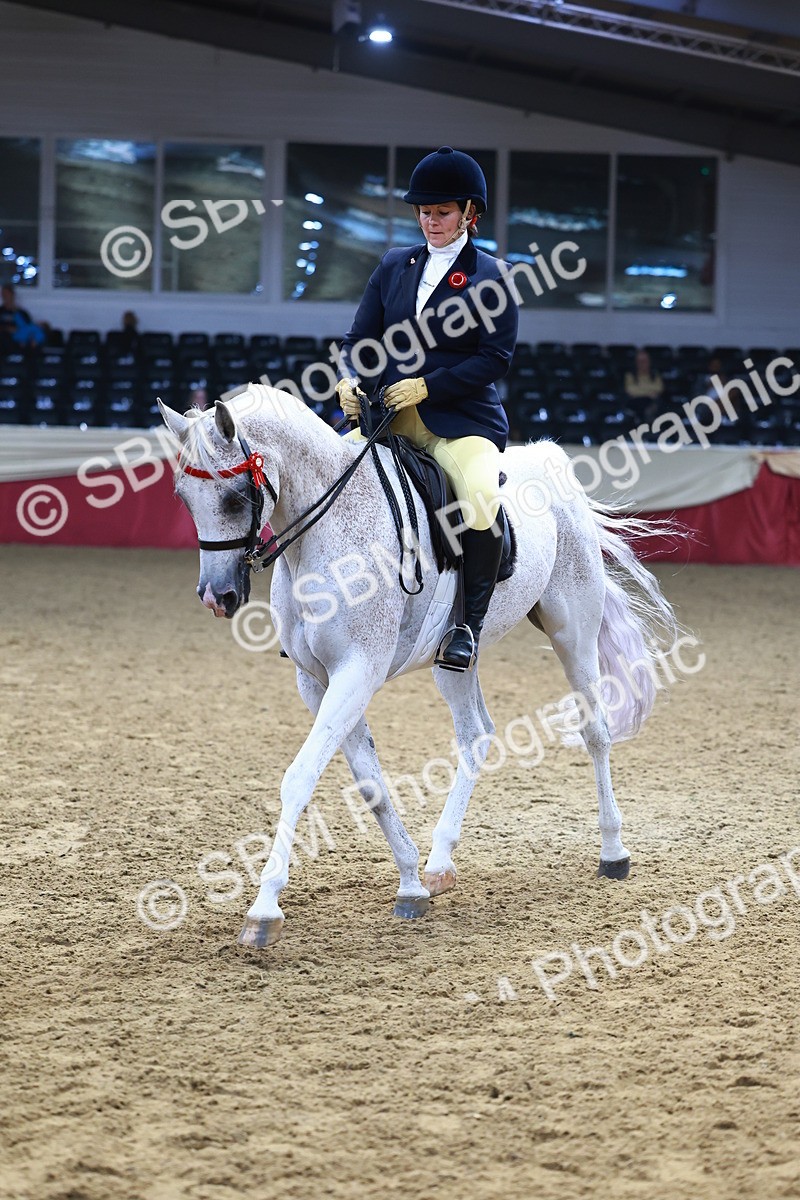 SBM_23365 - class 906 - Supreme Final - Ridden Pre Vet