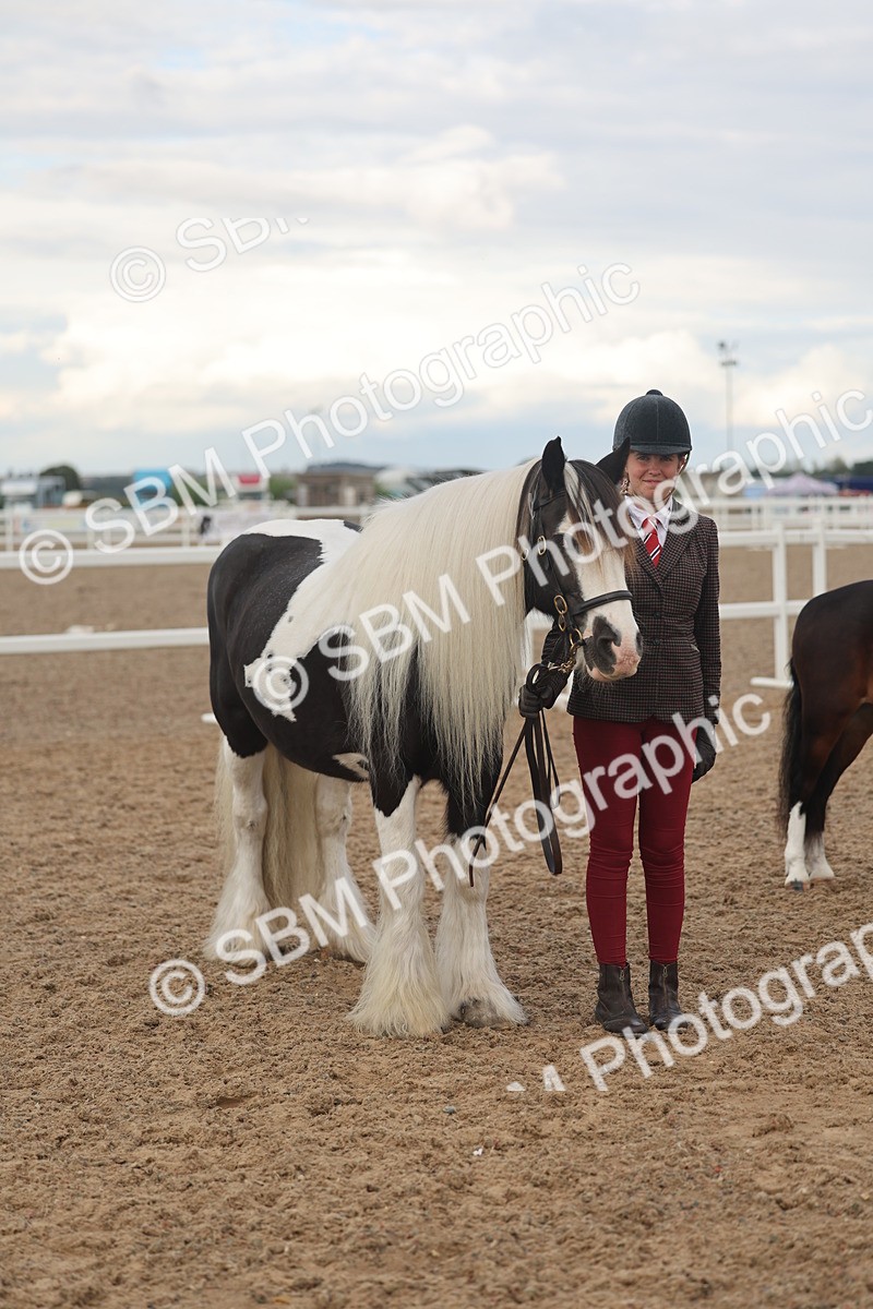 SBM_08516 - Class 29 - IH Veteran Pony