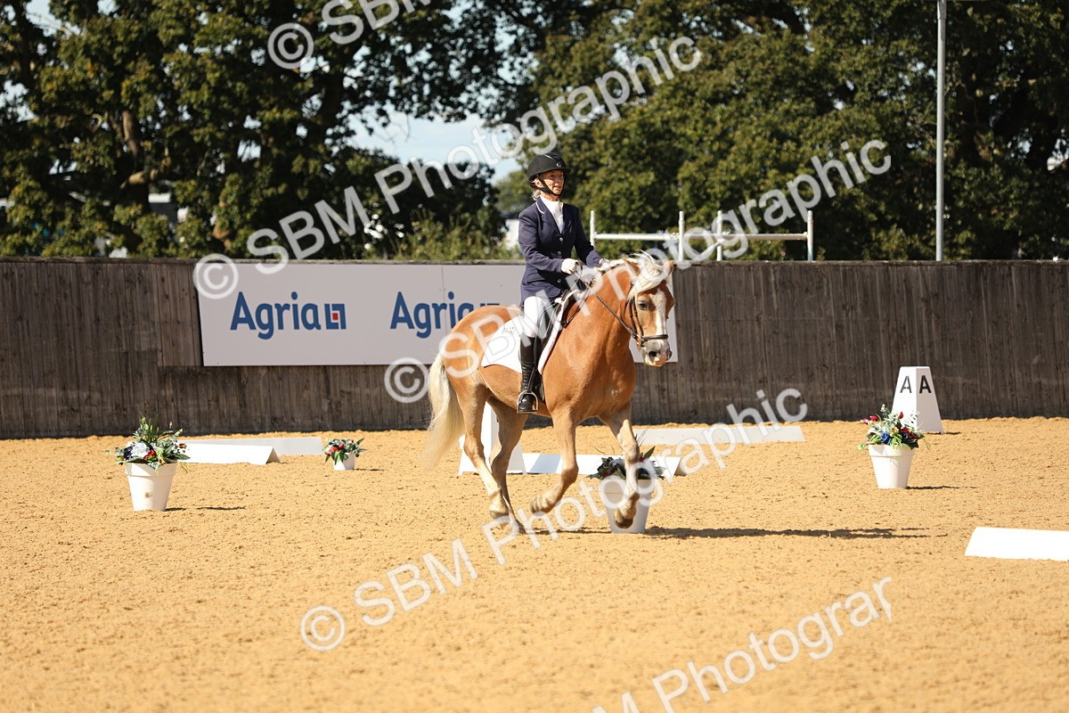 SBM_22392 - D17 - Grand Tour Championship - Novice 27