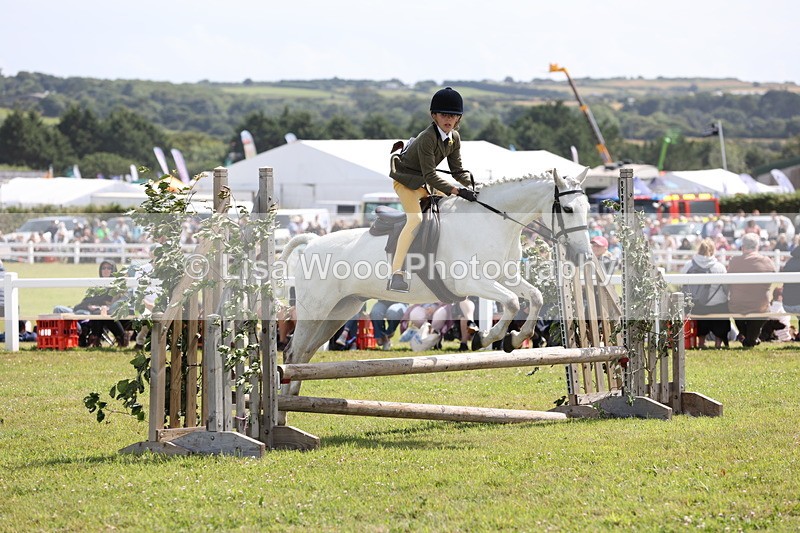 JPP_2112 - Class 19: Working Hunter 60cm