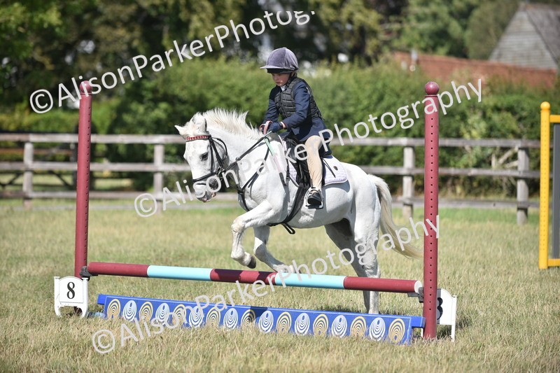 20260906-1721 - Class 9 - Absolute Novice Jumping 45cm