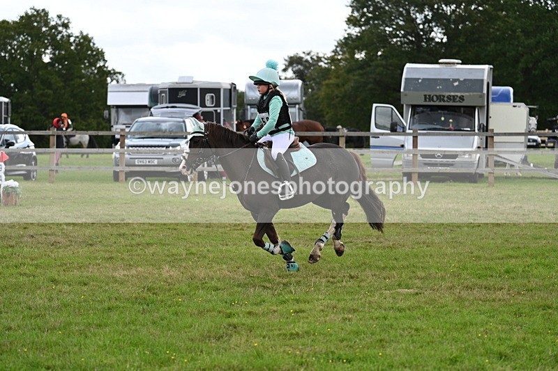 WJ7_8336 - 60cm Time 12:11 to 12:30