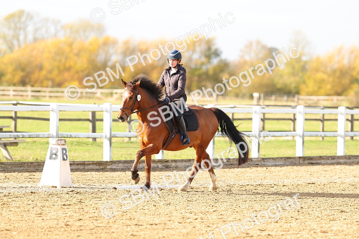 SBM_001222 - Class 13-4-9 - DR P3 CT P3 70cm CT PYO