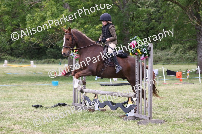 20260614-2743 - Class 22 - Open Working Hunter