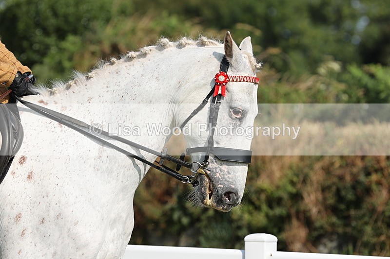 JPP_0616 - Class 16: Cornish Combination Young Rider