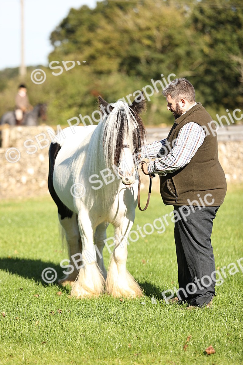 SBM_15813 - S1 - TSR in Hand Horse & Pony Showing