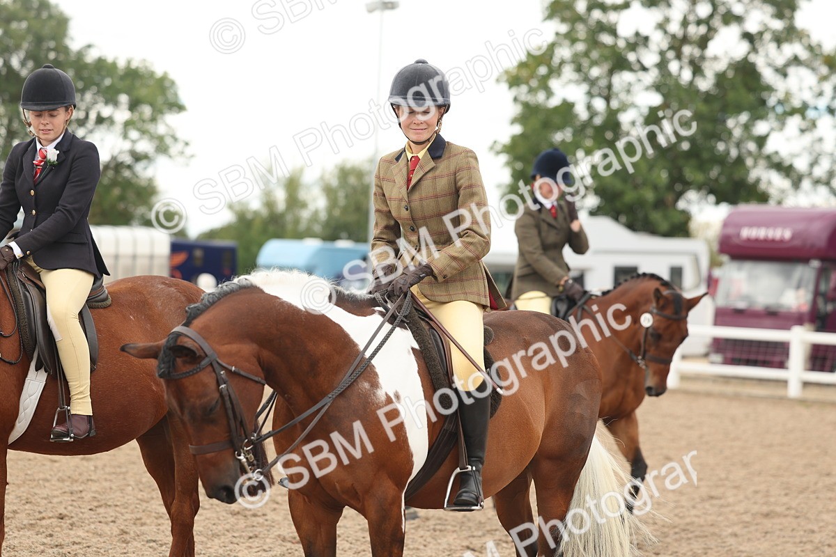 SBM_16060 - Class 311 - Ridden Show pony-Show hunter Pony