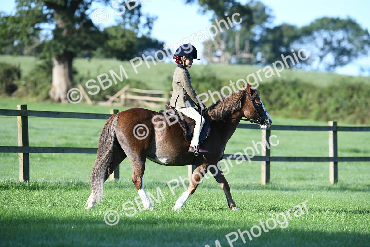 SBM_33905 - S16 - Condition & Turnout - Ridden