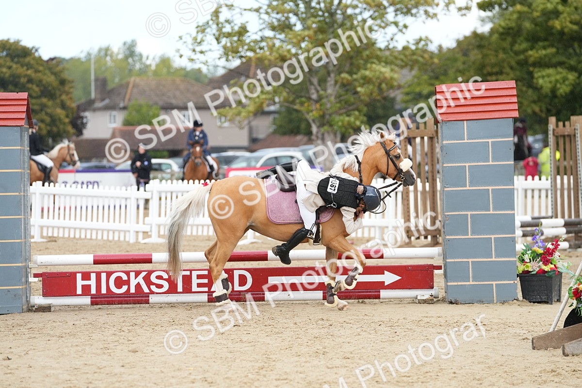 SBM_20734 - J49 - Open 50cm