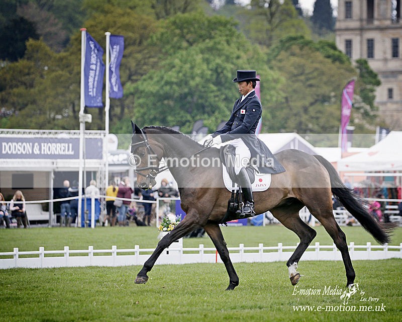 SO050519 3724a - Equestrian