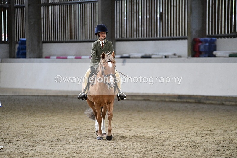 WJ5_8384 - Class 14 Novice Ridden/Rider