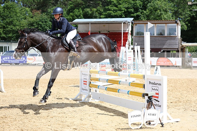 3E7A3148 - Class 4: Senior British Novice/90cm open