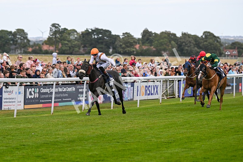 250824-Race 1-Emeralds Pride-2370 - Race 1