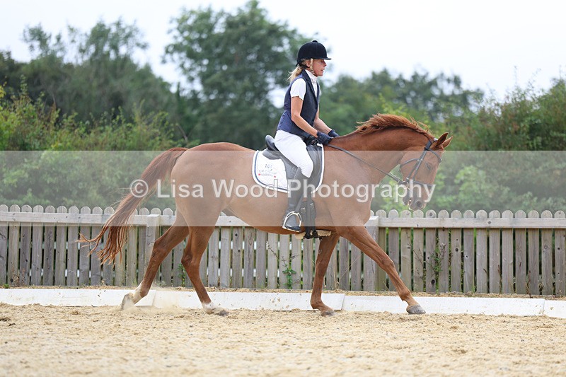 3E7A7448 - Class 9: Elementary 4 2024 - No sections