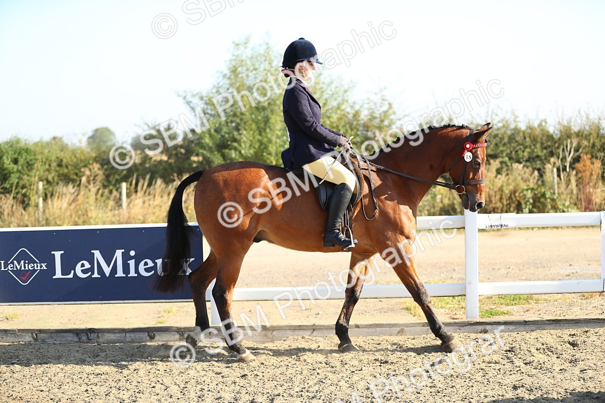 SBM_00378 - Class 41 Best Turned Out Ridden