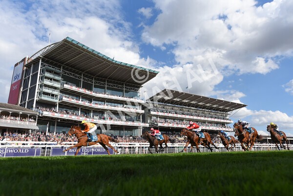 yr20082022r6-17 - Race 6 4.45 pm Julia Graves Roses Stakes