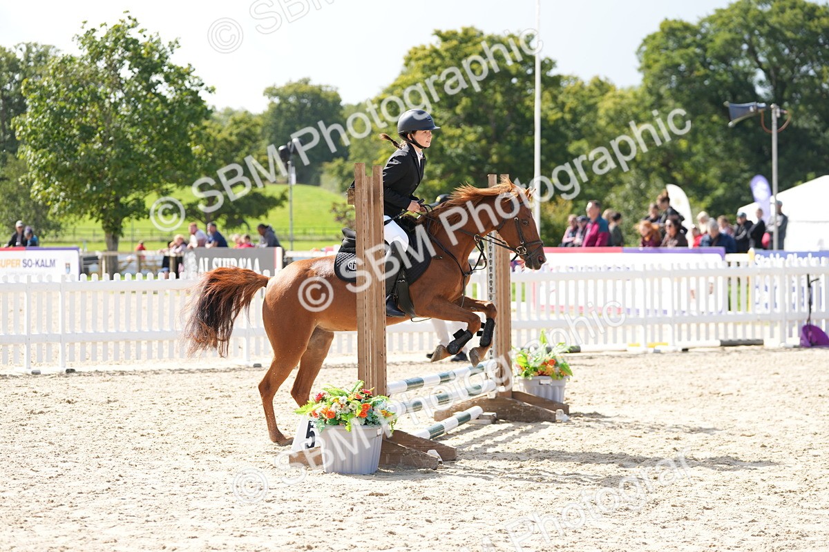 SBM_18118 - J58 - Clear Round 50cm