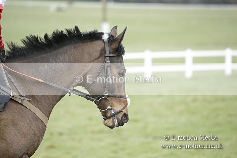 PtP 150320 0564 - New Forest Point-to-Point Larkhill 15/03/20