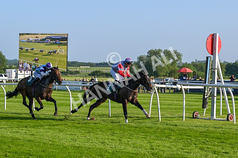 310524-Race 2-Dandy Fitz-8500 - Race 2