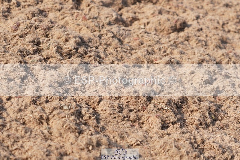 250621-181646-10424 - RoR Cls 6c-6b Novice