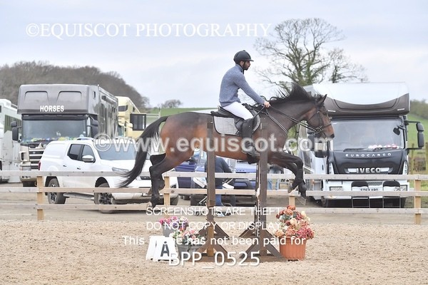 BPP_0525 - CLASS 3  Club/ Unaffiliated 90cms Open