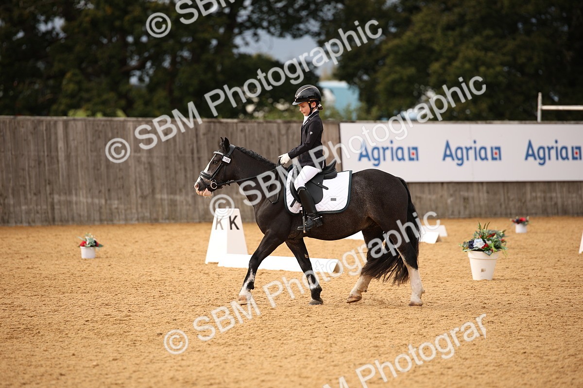SBM_12281 - D3 Small  Tour Championship Intro A