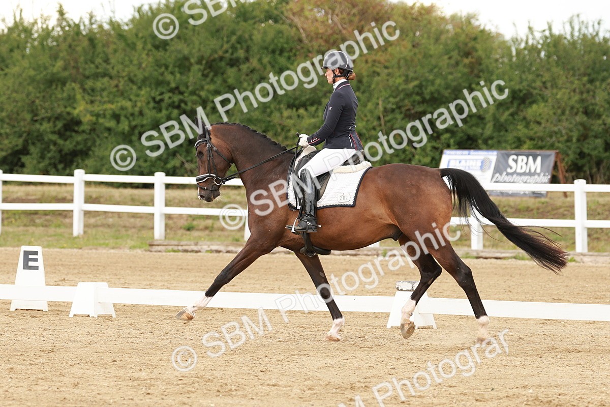 SBM_001909 - Class 8 - Elementary 6