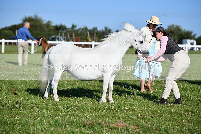 DSC_5250 - Classes 47 & 48: NPS M&M Brood Mare and Foal