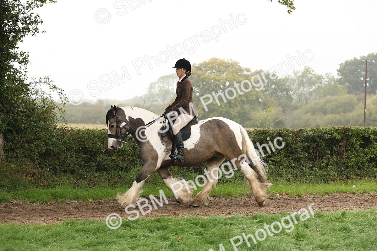 SBM_72736 - S70 - Traditional Cob Ridden