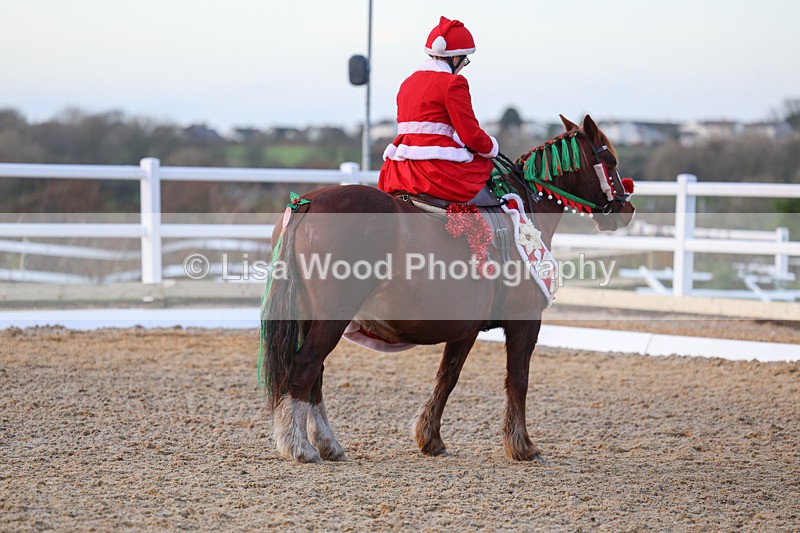 3E7A5024 - Class 5: Novice