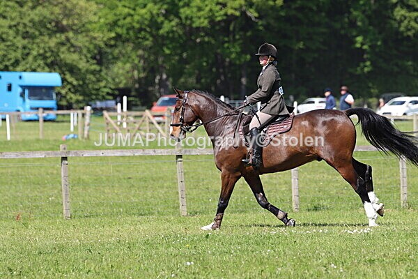 IMG_4463 - Working Hunter