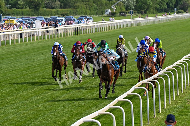 230526-Race 6-Pearl River-0595 - Race 6 16.25pm Royal Yorkshire Regiment Handicap