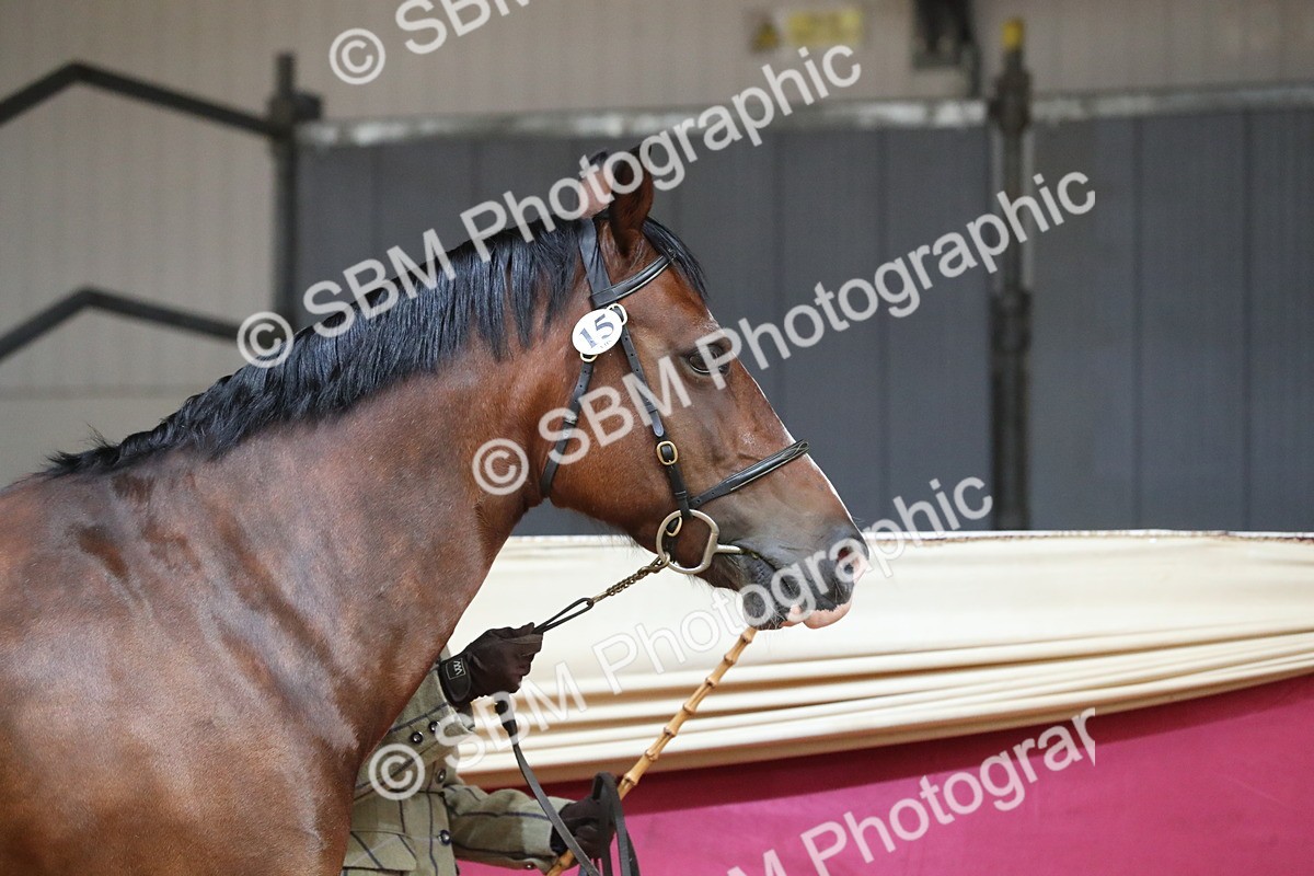 SBM_15097 - Class 501 M&M IH Supreme Final