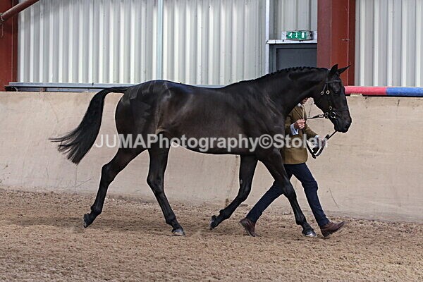 SIAL9292 - Indoor Classes