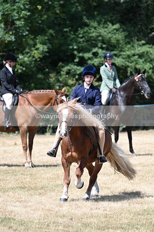 WJ7_3405 - Class 8 Ridden Veterans