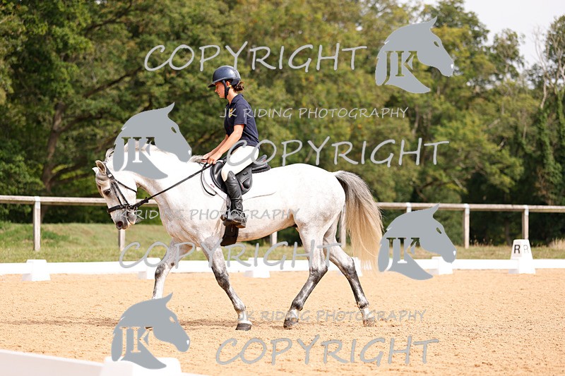 _R6A2753 - Dressage Morning