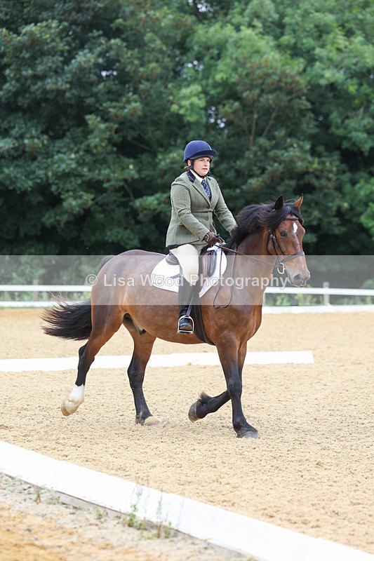 3E7A4584 - Class 1: Intro 4 2024 section A