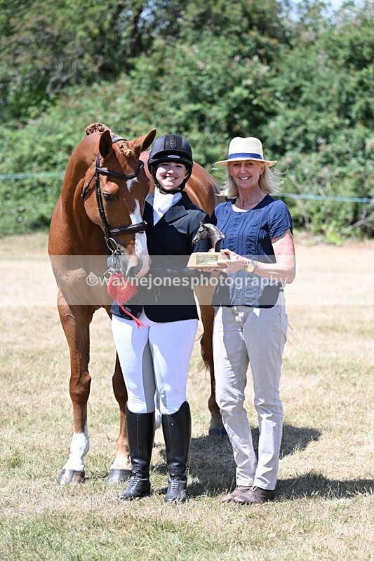 WJ7_2521 - Most Handsome Gelding Champs