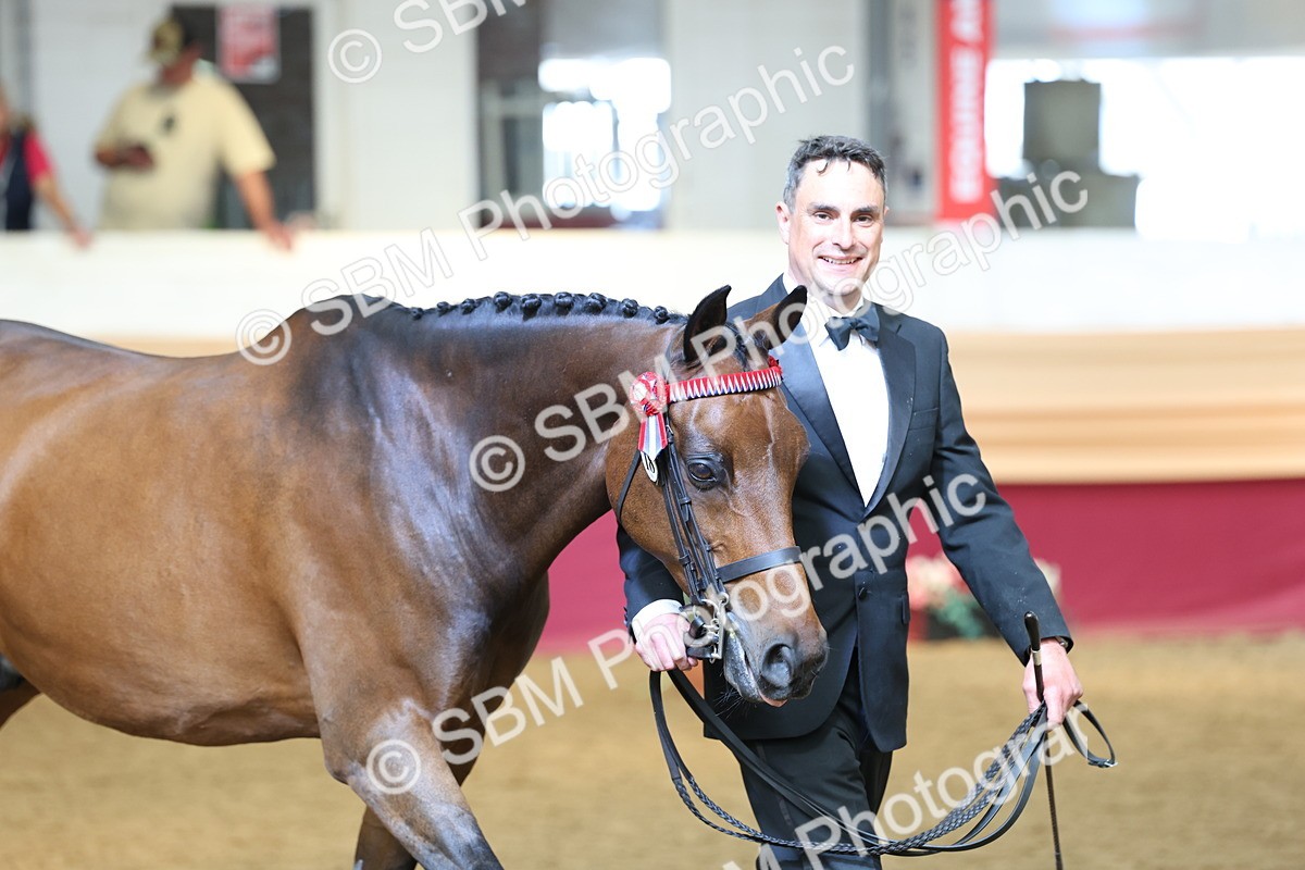 SBM_23375 - Class 903 - Supreme Final - IH Pre Vet