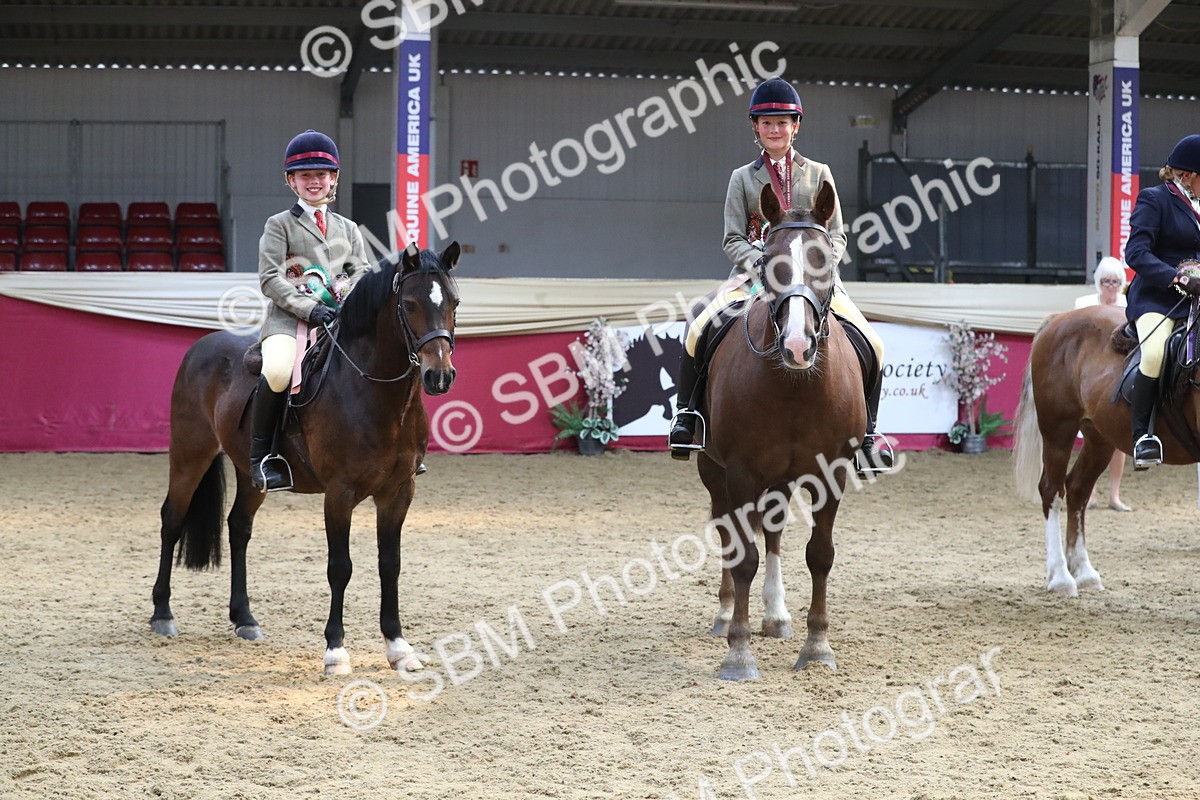 SBM_13777 - Class 109 Ridden Pairs - Section B